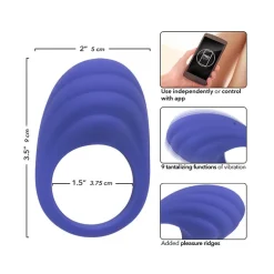 Clearance LoversStores Cal Exotics Connect App Controlled Cock Ring