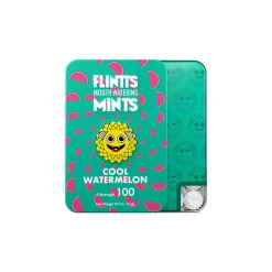 Outlet LoversStores Flintts Mints Mouth Watering Mints