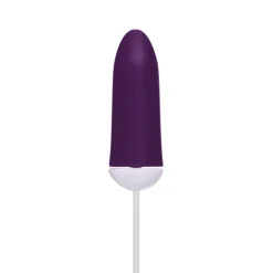 Hot LoversStores Lovers Just the Tip Vibrator Kit