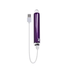 Online LoversStores Playboy Pleasure Amethyst Glass Bullet Vibrator
