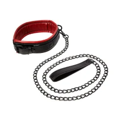 Clearance LoversStores Saffron Leash & Collar